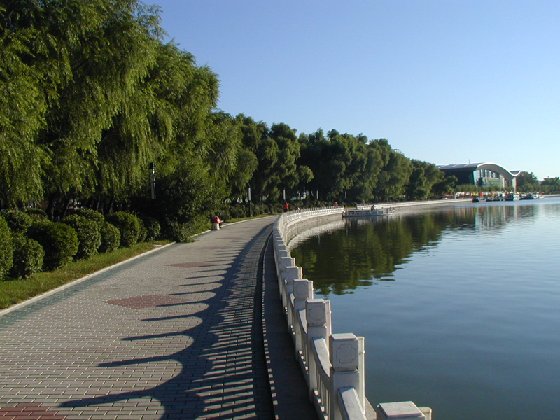 �R�R����̩��